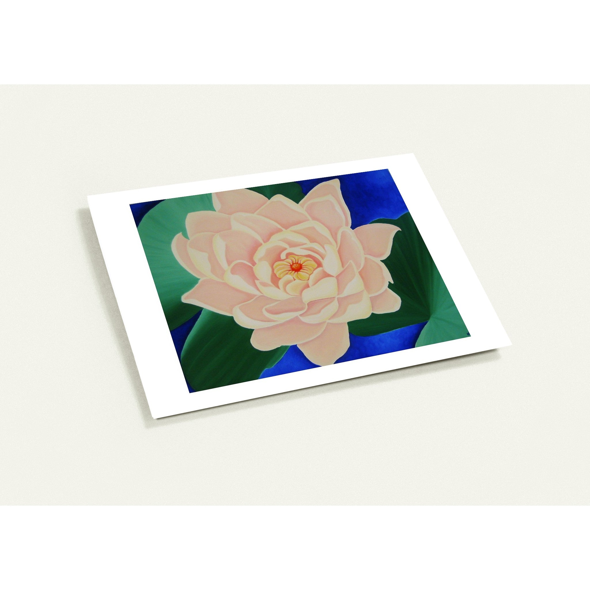 Note Cards