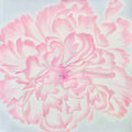 Tender Bloom: ORIGINAL Oil Painting on Gallery Wrapped Canvas
